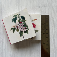 Load image into Gallery viewer, Mini Notebooks Set of 4 - Flowers, Rajasthani Miniature