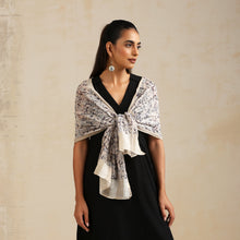 Load image into Gallery viewer, Scarf Chanderi - Painted Door, Hawa Mahal