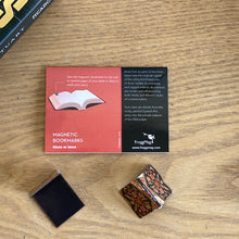 Load image into Gallery viewer, Magnetic Bookmarks set of 2 - Amer Fort